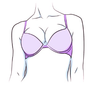 How is a Bra Supposed to Fit?