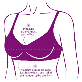 How to Measure Your Bra Size